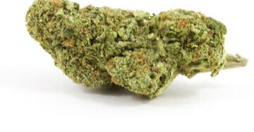 Critical Mass Indica 21% THC