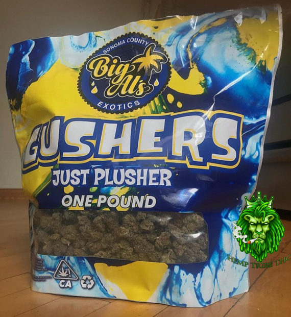 Gushers & Blue Sherbet