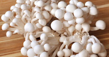White Beech Mushrooms