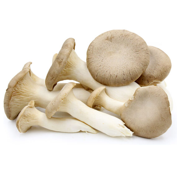 Organic Trumpet Royale Mushrooms