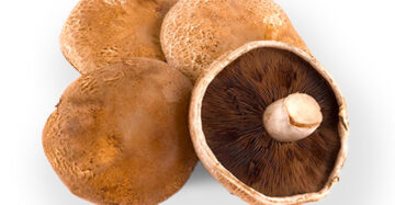 Portabello Mushrooms