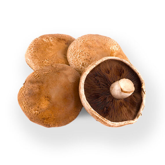 Portabello Mushrooms