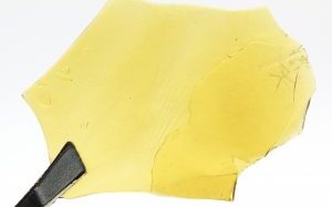 Purple Candy Shatter