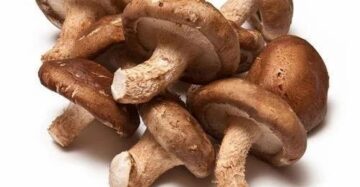 Shiitake Mushrooms